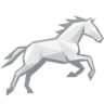 brainpolo logo